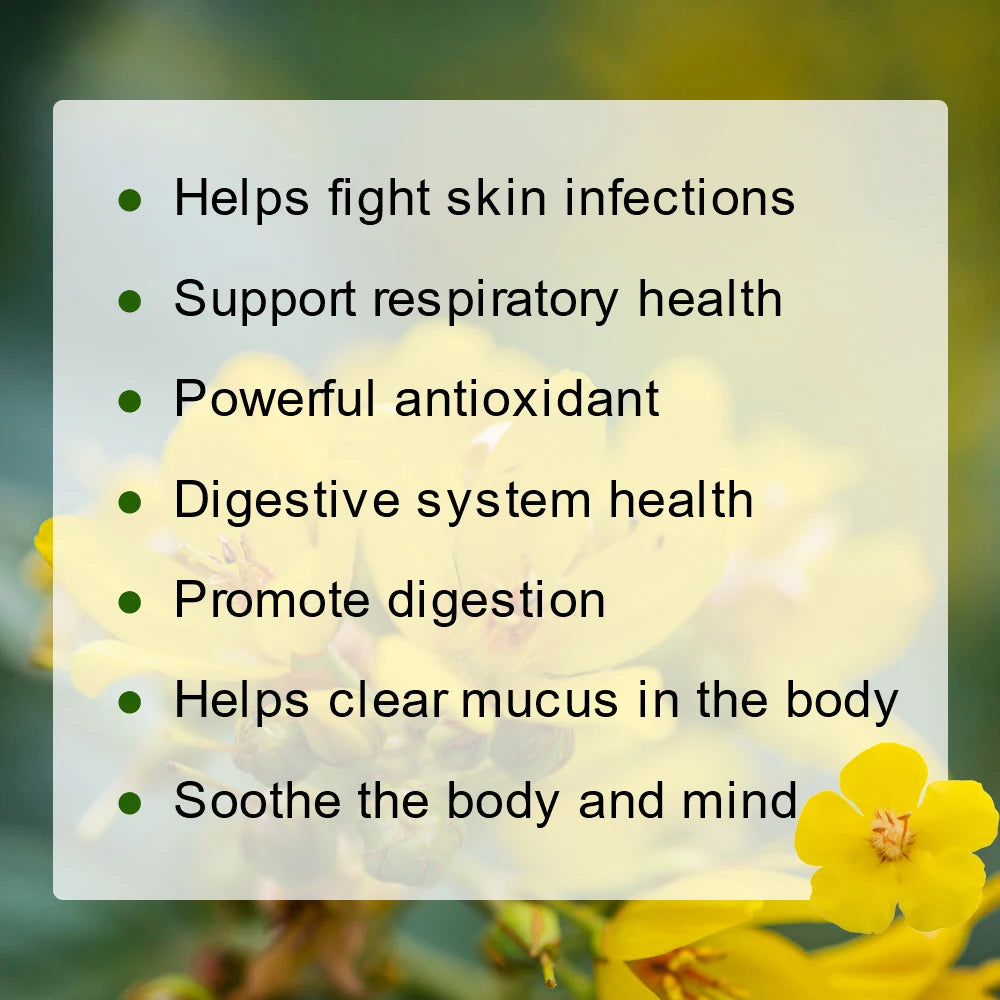Herbal Tea for Respiratory Support | Mullein Leaf & Herbal Blend for Lung Health & Wellness | Caffeine-Free